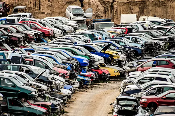 Junk Car Dealer